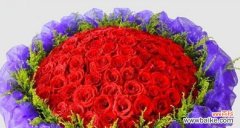 百合竹的象征意义与生活启示 百合竹，寓意生命的美好