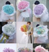 星星点点 白色满天星的花语与寓意