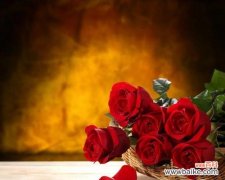 不同朵数玫瑰背后的寓意和情感表达 玫瑰的花语与象征意义