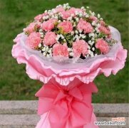 浪漫而温馨的花语 粉康乃馨的花语与意义