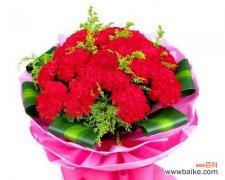 用康乃馨传递情感与思想的力量 红色康乃馨的象征意义与价值