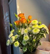 永远快乐的秘密在于向日葵的微笑 以向日葵花语为主题的文章