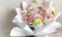 纯洁和崇高的花朵 康乃馨的花语与寓意