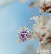 探索宝石花的花语意义与独特魅力 宝石花之美
