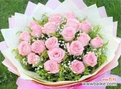 几朵玫瑰花所传递的深意 玫瑰花的寓意与象征——浪漫、爱情和关怀