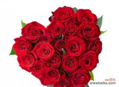 探寻玫瑰花背后的心意 11朵玫瑰花的寓意