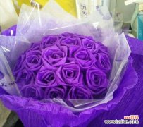 紫玫瑰花语的启示——追寻内心的渴望 紫玫瑰花语——浪漫与神秘的象征